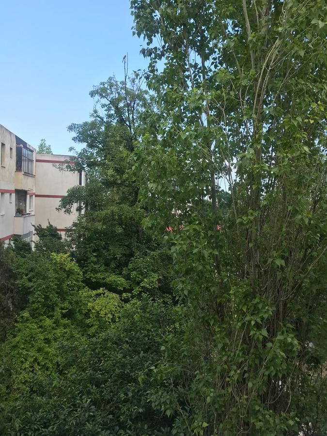 Apartament Myria Constanta Bagian luar foto